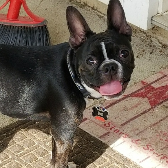 Meet your Posher, Michelle - Picture 4 of 4